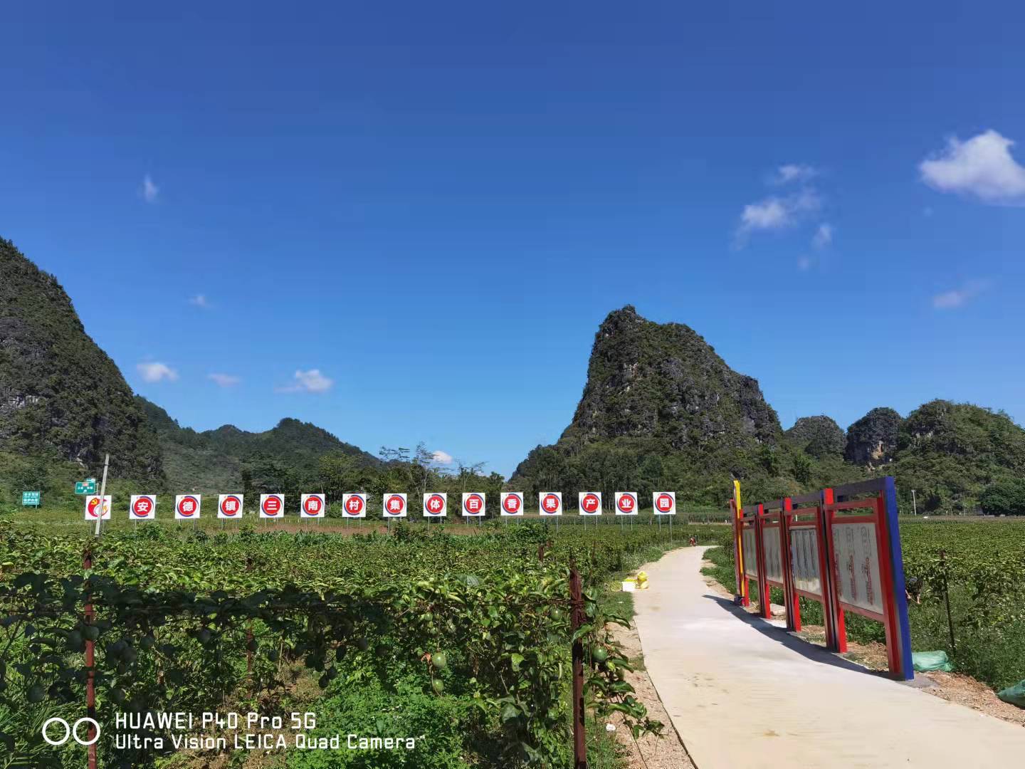 圖為三南村百畝黃金百香果產(chǎn)業(yè)園.jpg